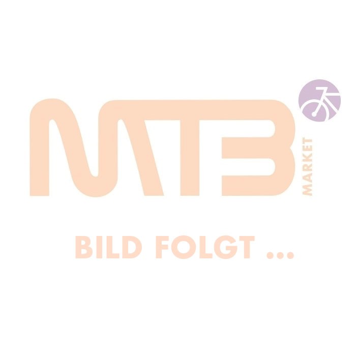 Riese & M&uuml;ller Nevo4 GT Touring CORE 625Wh